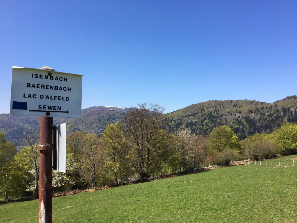 Le massif du Ballon d'Alsace dispose d'atouts, comme la randonnée, que les présidents des départements du Territoire de Belfort et du Haut-Rhin veulent mettre en valeur à l'avenir. (Photo Pierre-Yves Ratti)