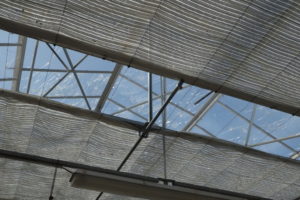 La toiture en verre armé des serres en verre n'ont pas résisté.