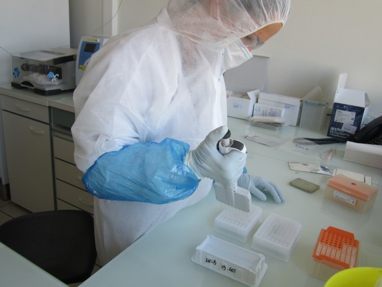 Entre 200 et 300 tests de dépistage du covid-19 seront analysés par le laboratoire vétérinaire départemental du Doubs.