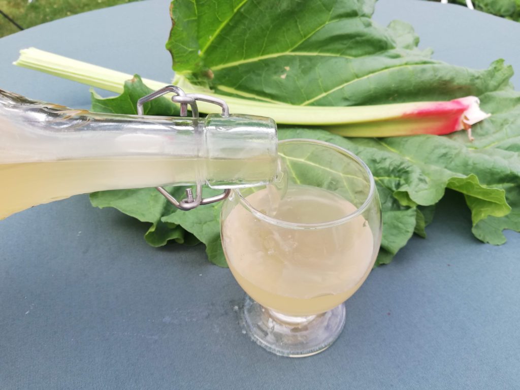 Recette pour confectionner de l'eau de rhubarbe, par Fleur, pour le blog l'An vert.