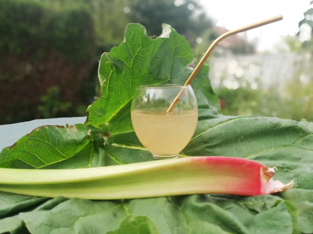 Recette pour confectionner de l'eau de rhubarbe, par Fleur, pour le blog l'An vert.