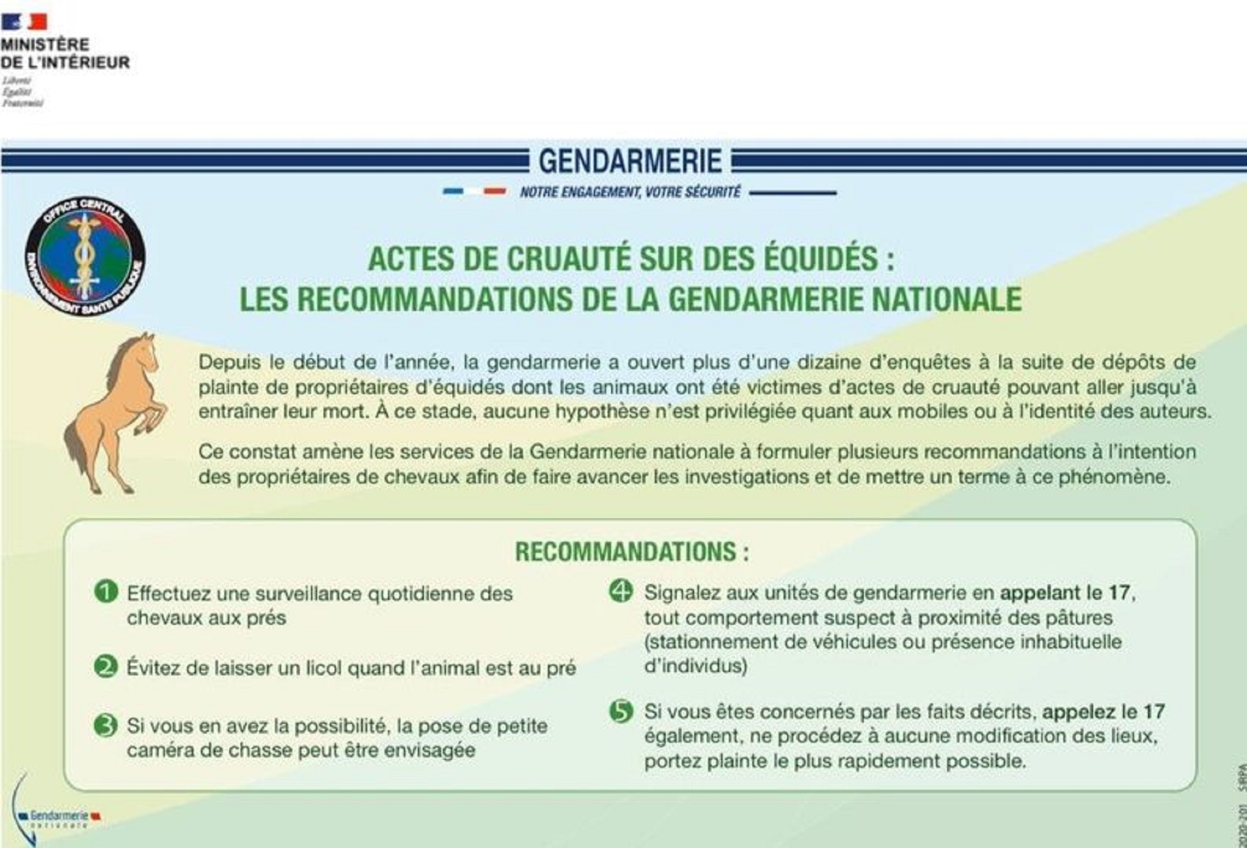 La gendarmerie diffuse ces recommandations à l'intention des propriétaires de chevaux.