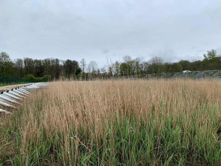 La station  de Froidefontaine repose sur un procédé naturel : le traitement par rhizosphère. | ©Le Trois - E.C.