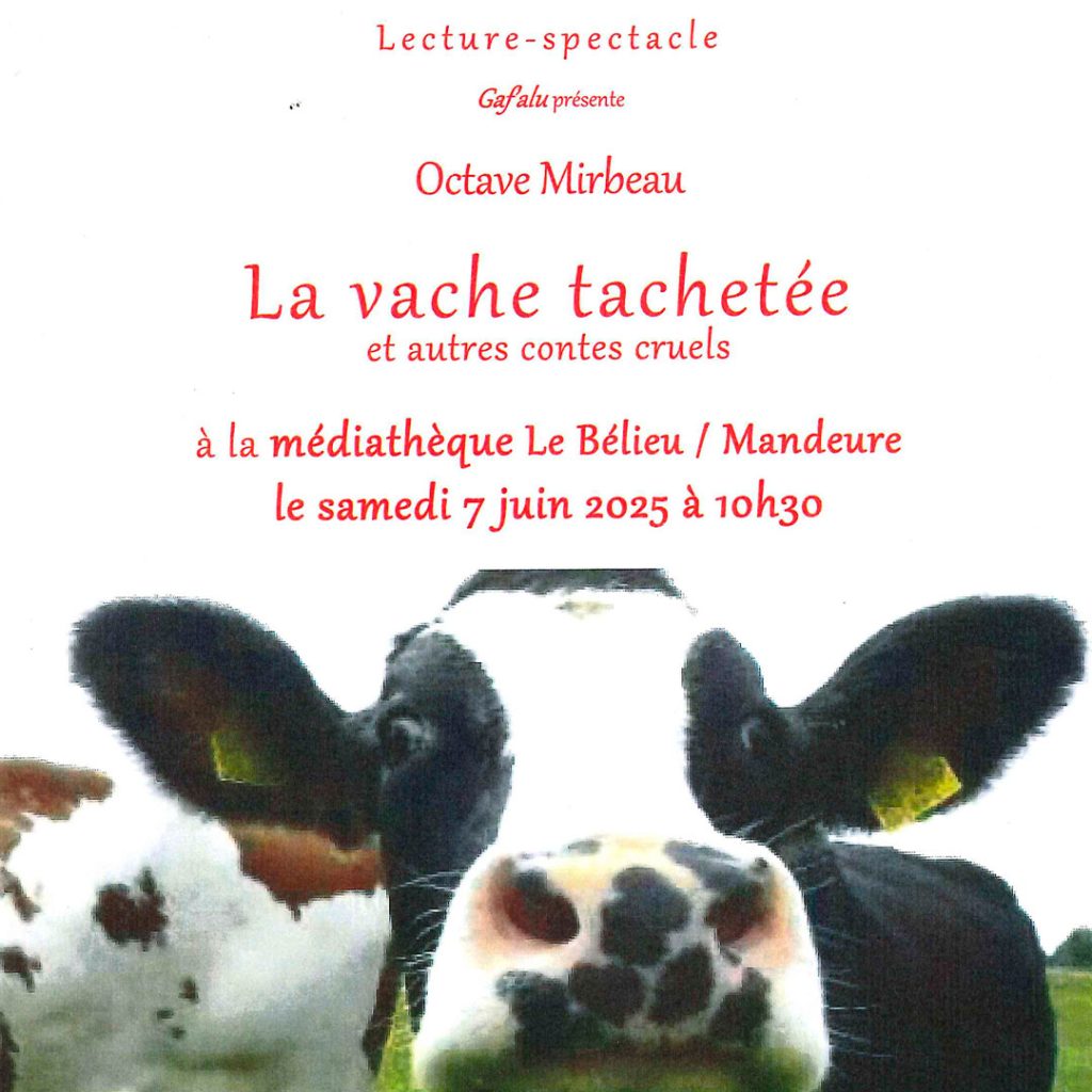 spectacle-lecture-mediatheque-682ed2f26d8bb586824651.jpg