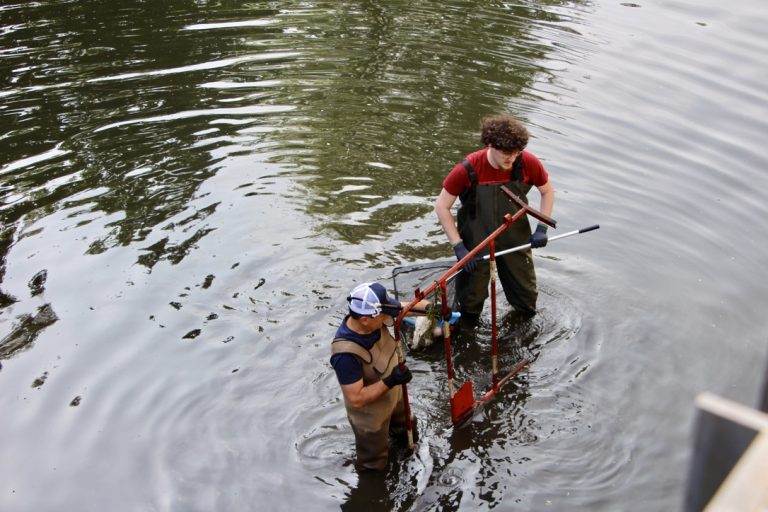Des étudiants de l'Esta ont mené une opération de nettoyage de la Savoureuse après le Fimu. | ©Constance Voisin