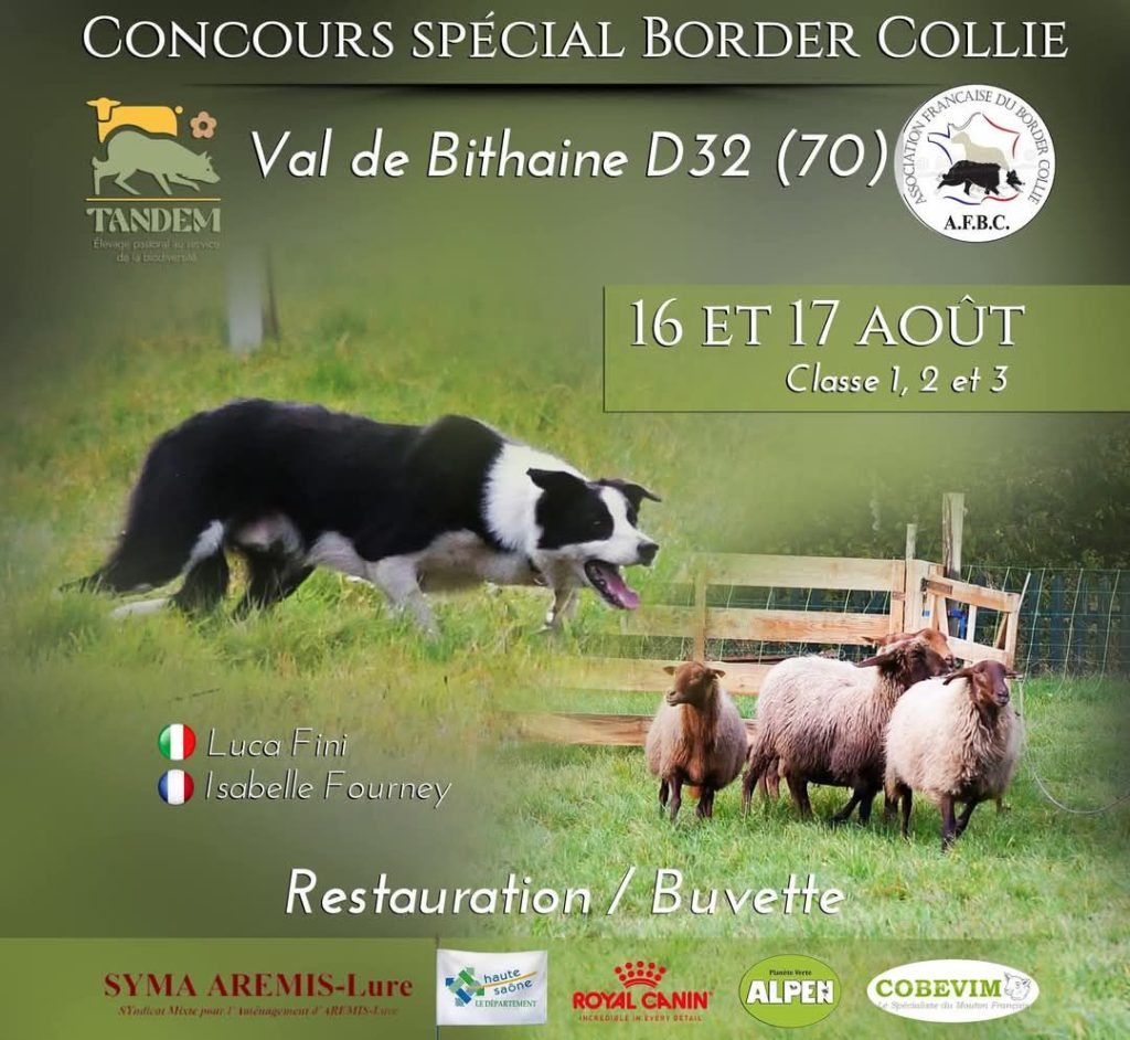 AFFICHE-2025-1.jpg