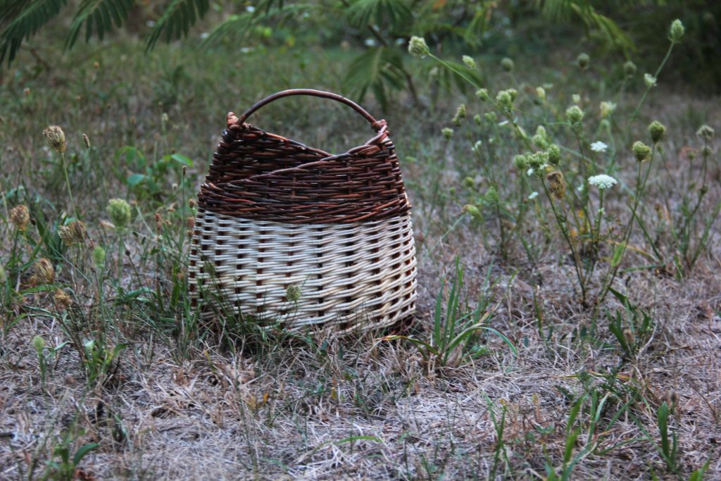 IMG-4140-copie.jpg