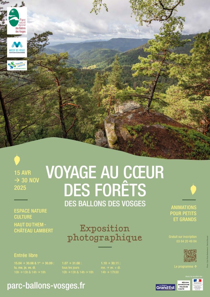 Voyage-Forets-Affiche-recto-page-0001-3.jpg
