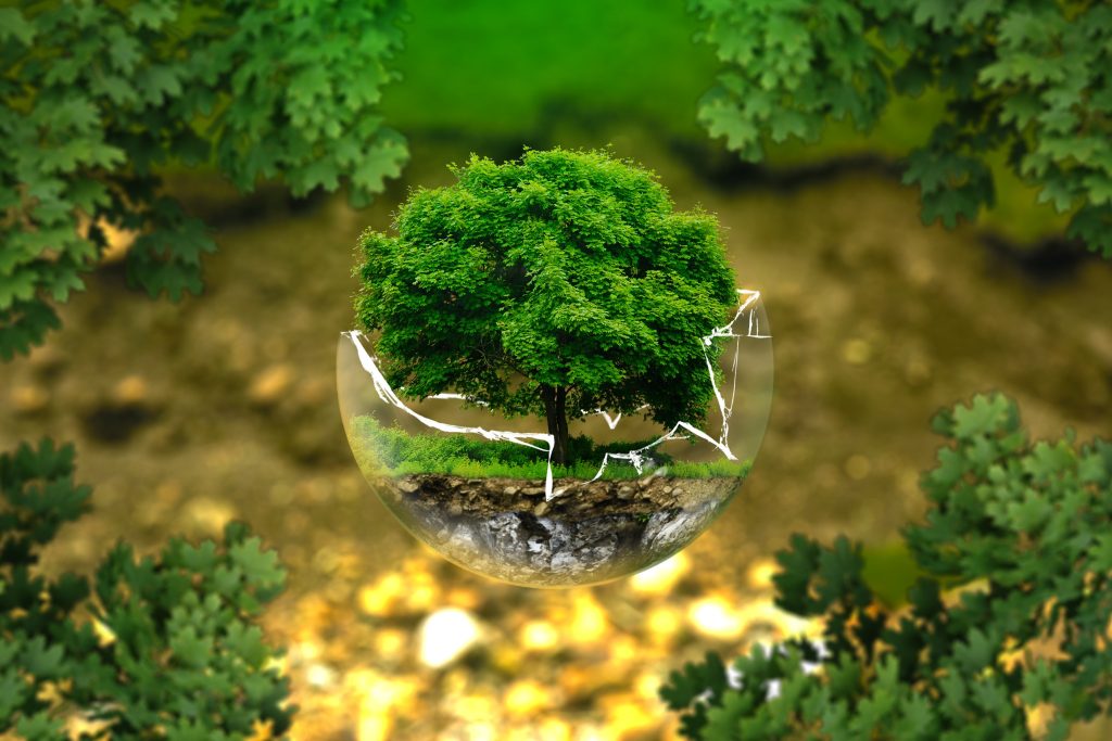 environmental-protection-326923-3.jpg