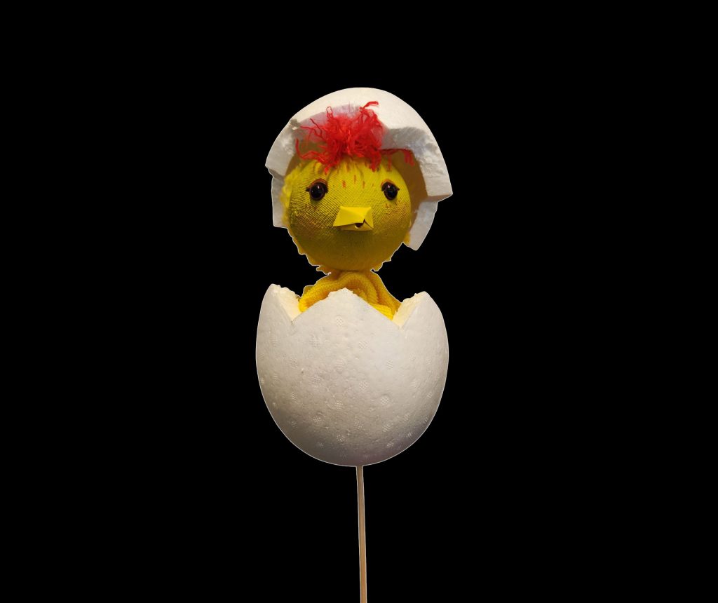 Marion.-Oeuf.jpg