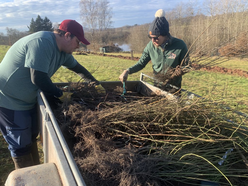 Adeline Monneret élève des chèvres de Lorraine à Échavannes. Elle lance un projet d'agroforesterie à Frahier, sur l'une de ses parcelles.