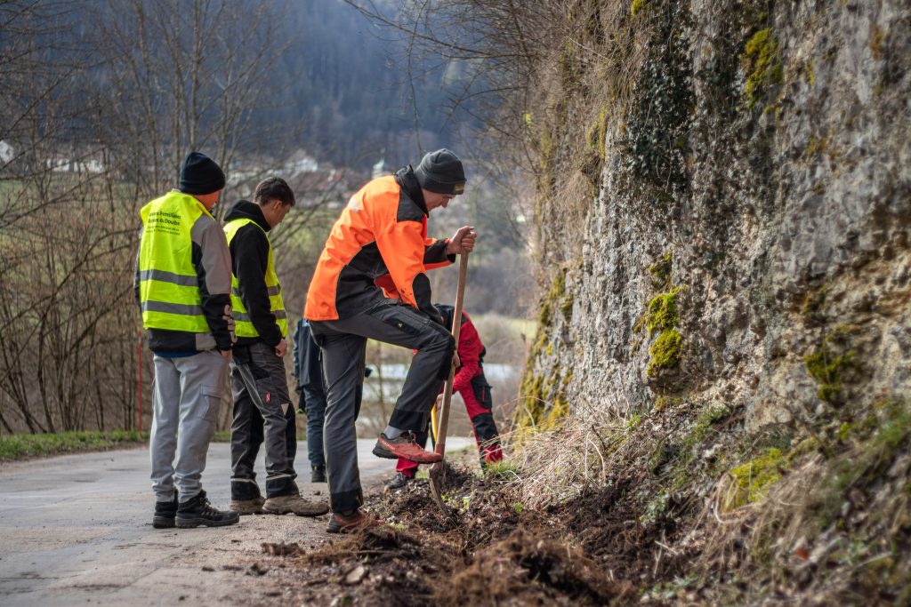 Des bénévoles installent des dispositifs pour éviter que les amphibiens se fassent écraser.