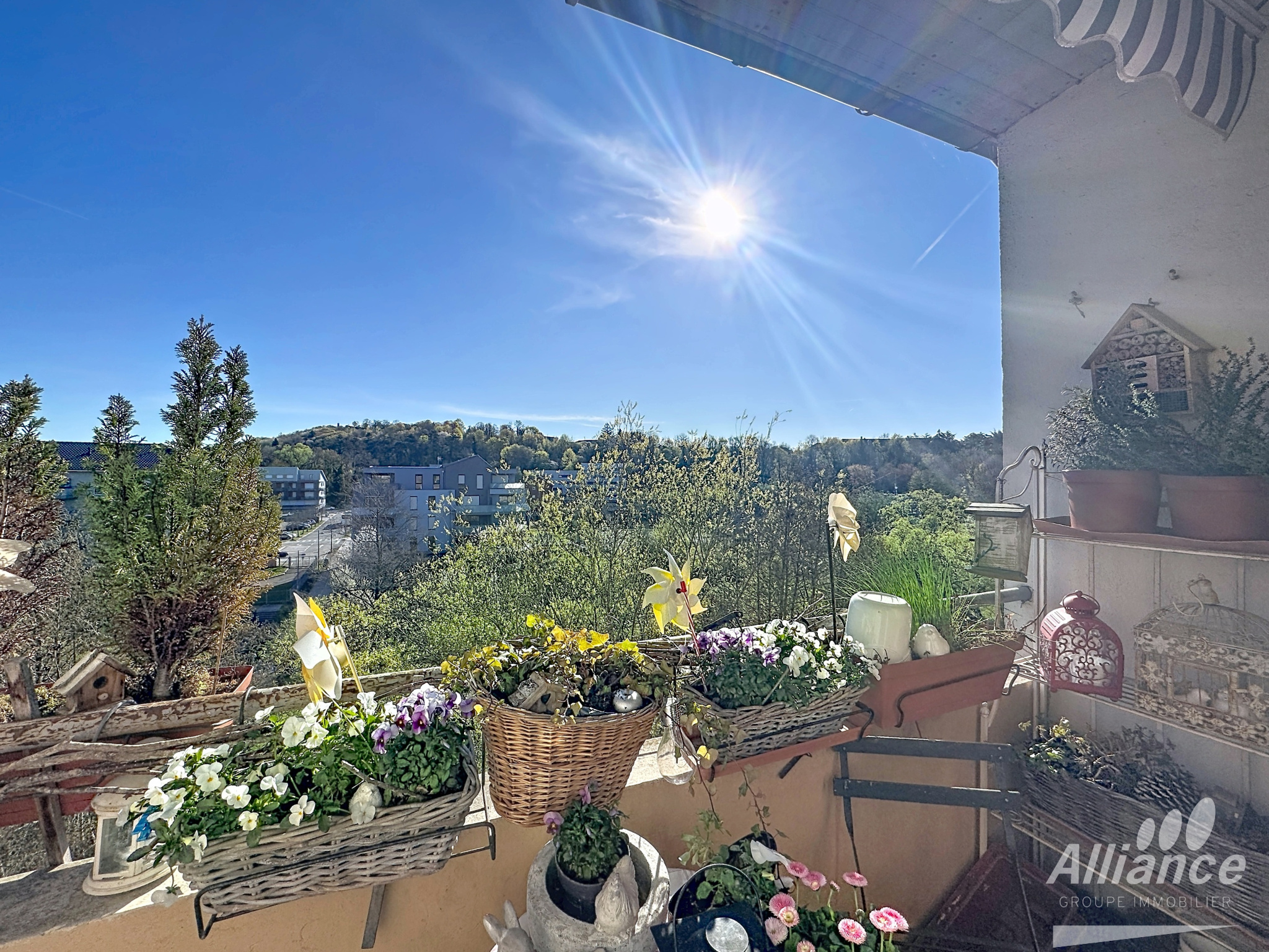 Appartement 3 pièces – Secteur BRASSE