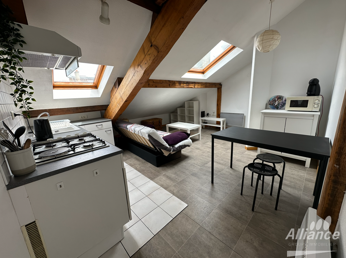 LOUE F2 MEUBLE CENTRE VILLE