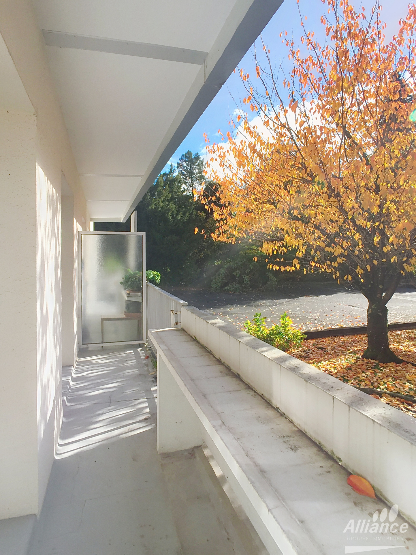 APPARTEMENT EN REZ DE CHAUSSEE RENOVE