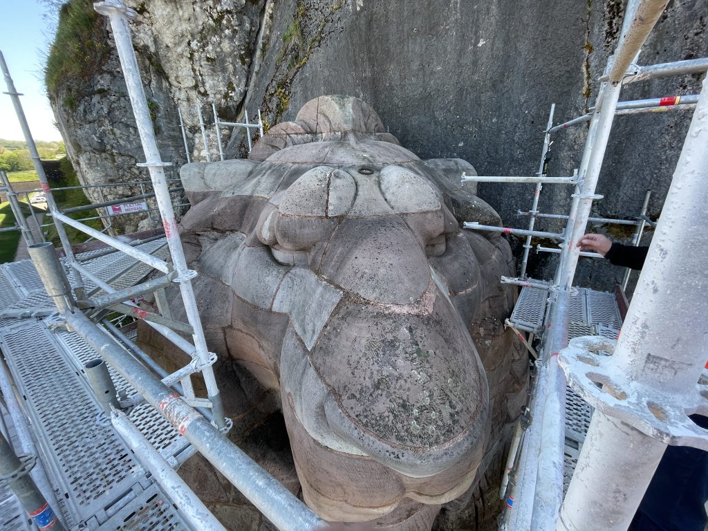 La tête du Lion de Belfort entourée d'échafaudages pour sa rénovation.