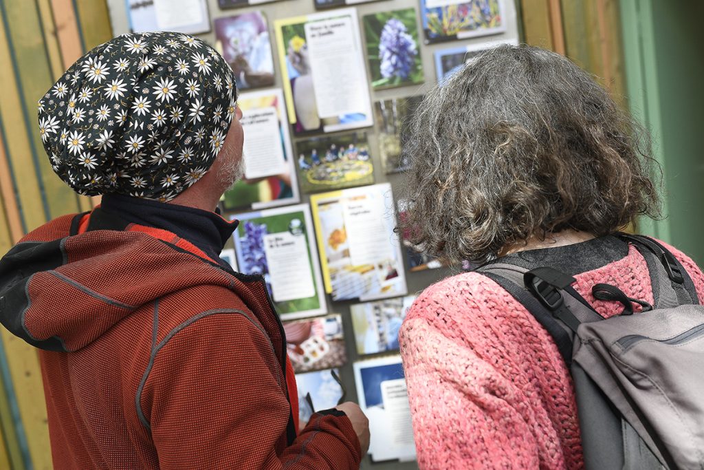 Les animations et expos reprennent à la Maison de l'environnement du Malsaucy, dans le Territoire de Belfort.
