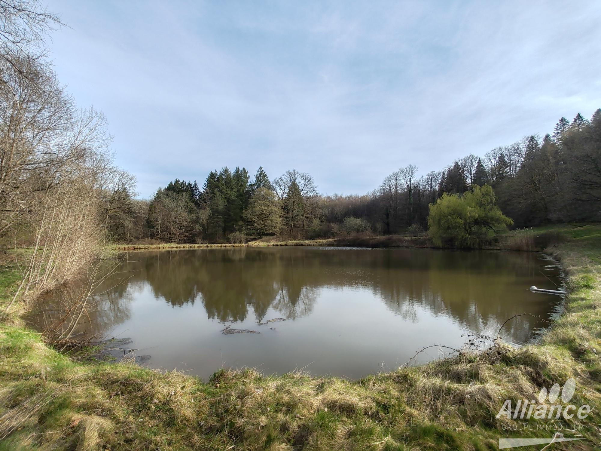 Etangs avec terrain de loisirs