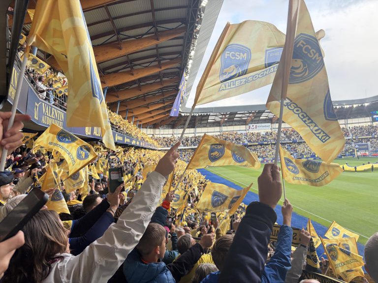 Les supporters brandissent les drapeaux.