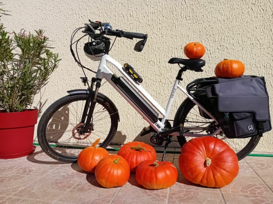 Un vélo Un vélo mis en scène avec des légumes !