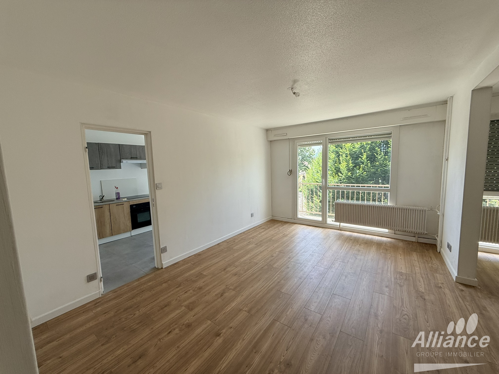 Appartement à louer à VALENTIGNEY avec grand balcon