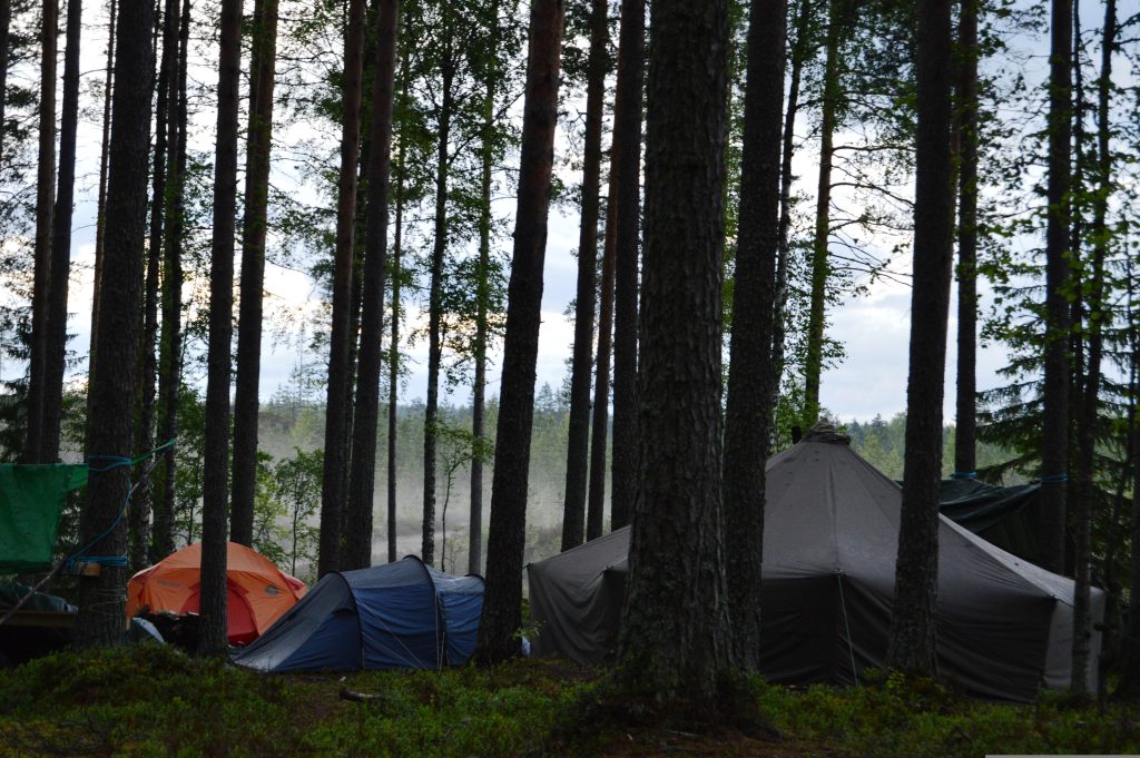 Camp de toiles de tente, en forêt.