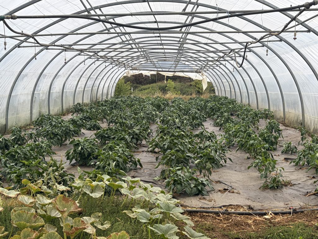 Les plantations des Jardins du Montvaudois à Héricourt.