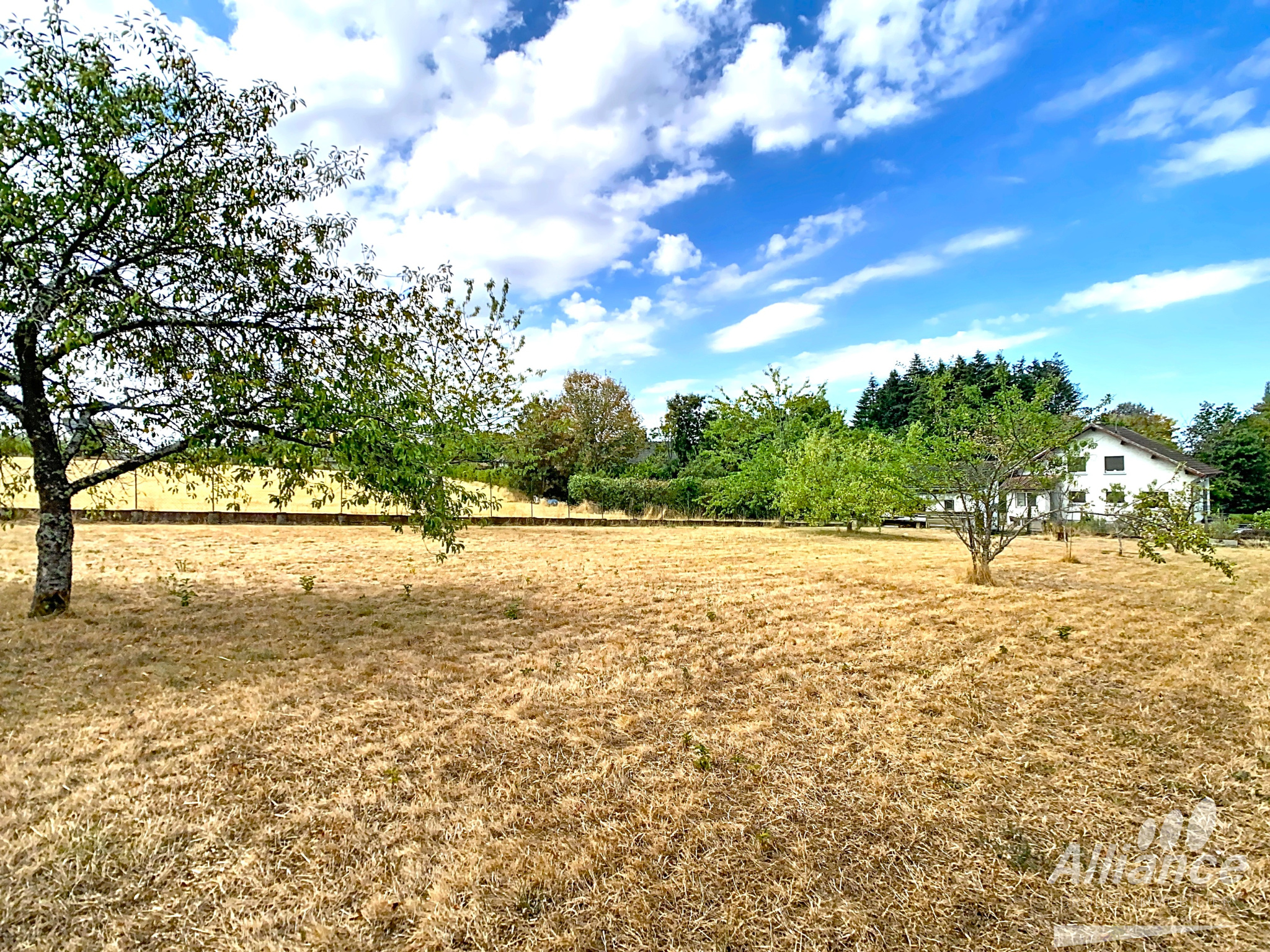 Maison 6/7 pièces MONTBOUTON – Terrain 27 ares, sous-sol, dé