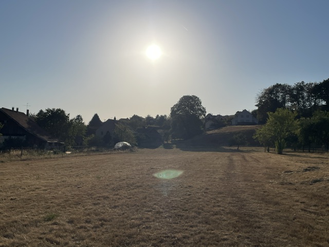 La canicule engendre une des plus sévères sécheresses que la région ait connu, provoquant une crise du fourrage.