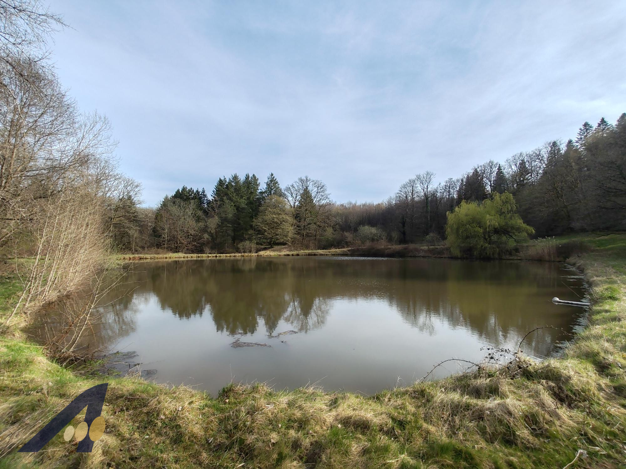 Etangs avec terrain de loisirs — photo 1