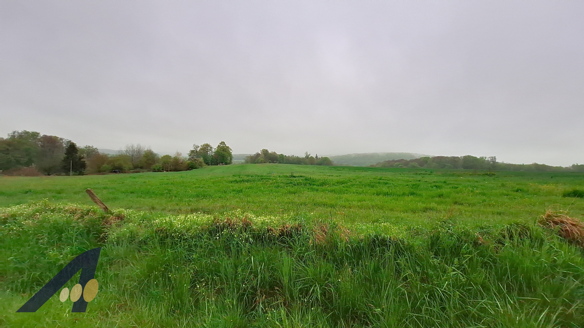 COURCELLES proche frontière suisse — photo 1