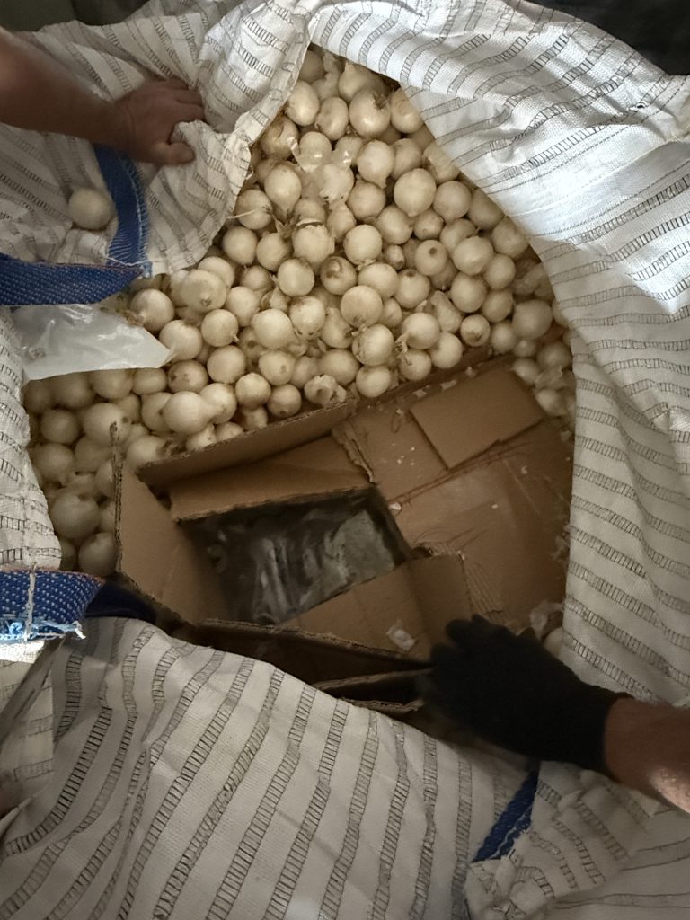 Les cartons de cannabis saisis le 27 septembre 2026 sur l'A36 étaient cachés dans un chargement d'oignons.